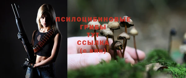 прущий лед Нефтекумск