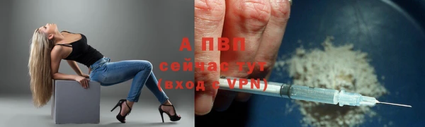 мдпв Надым