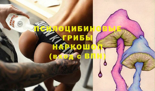 мдпв Надым
